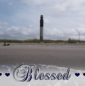 Meet your Posher, Patty